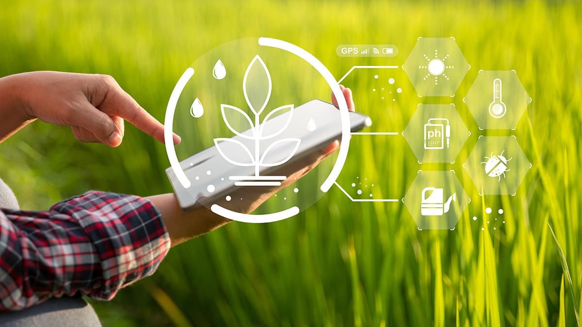 Agriculture, Agritech & Food Science