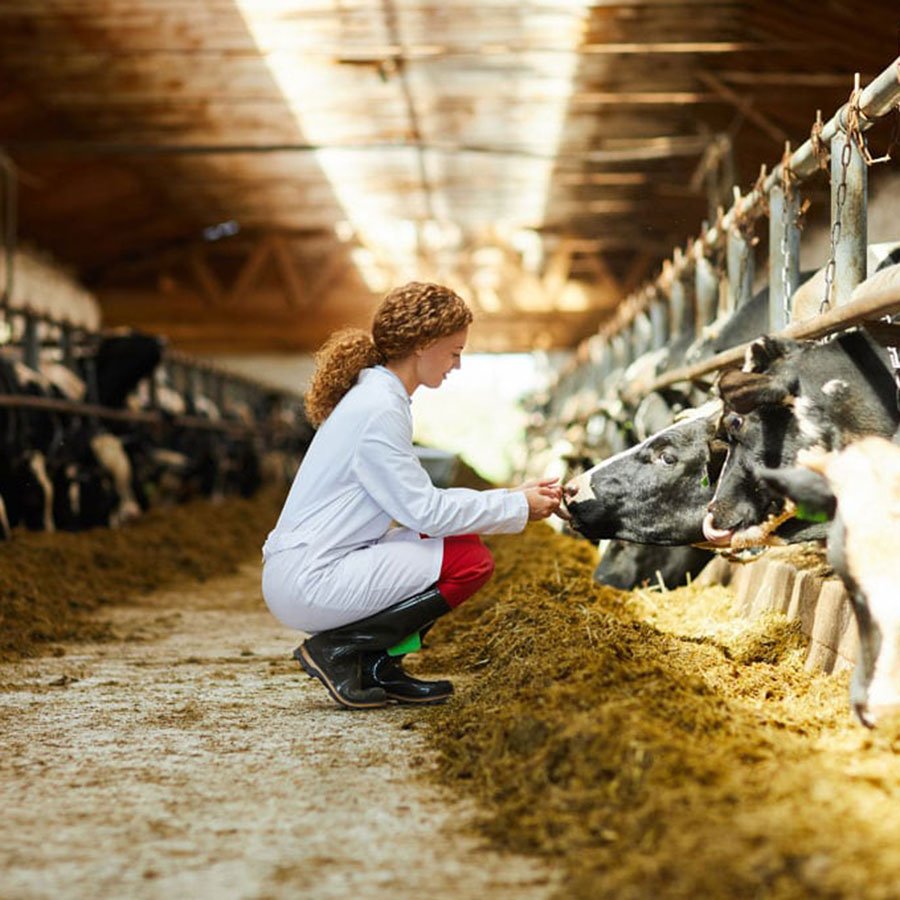 Animal Science
