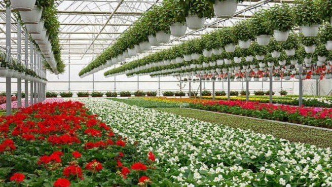 Horticulture